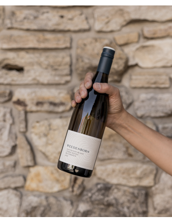 SAUVIGNON BLANC TERRA ROSSA 1,5L