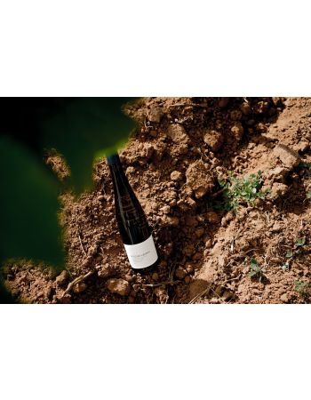 Paket // WEEDENBORN DNA (6er)