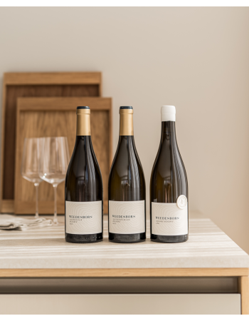 Paket // "NOEVELLES" RÉSERVE & AUS UNSEREM WEIN.ARCHIV