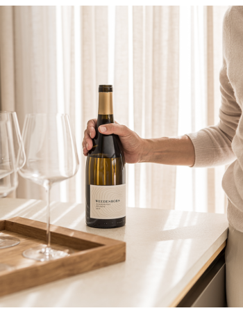 Sauvignon Blanc Réserve 1,5L