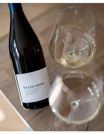 SAUVIGNON BLANC TERRA ROSSA 1,5 L