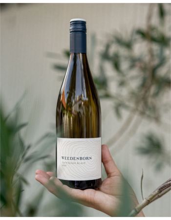 SAUVIGNON BLANC
