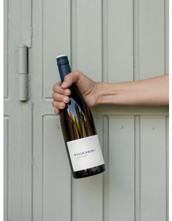 Weedenborn SAUVIGNON BLANC 1,5L
