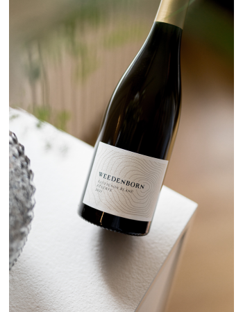 Sauvignon Blanc Réserve 3,0L